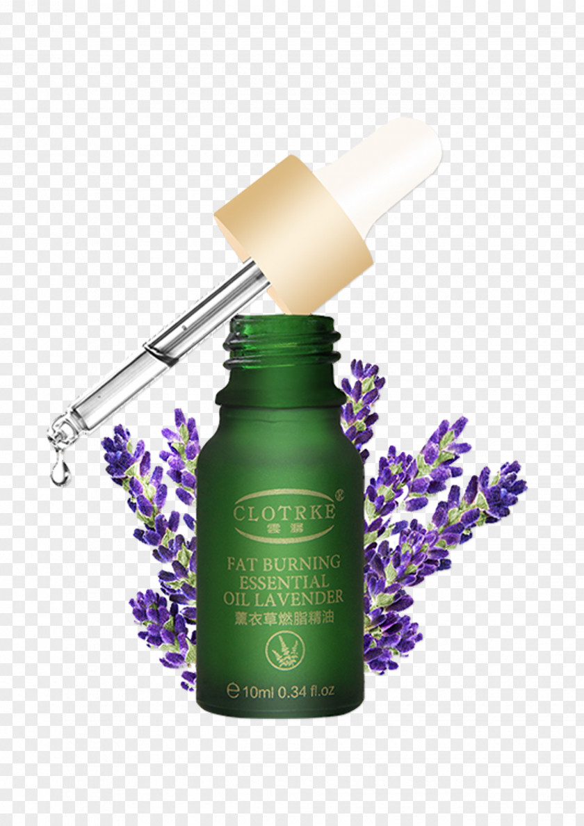 Essential Oils Cosmetics Oil Lavender PNG