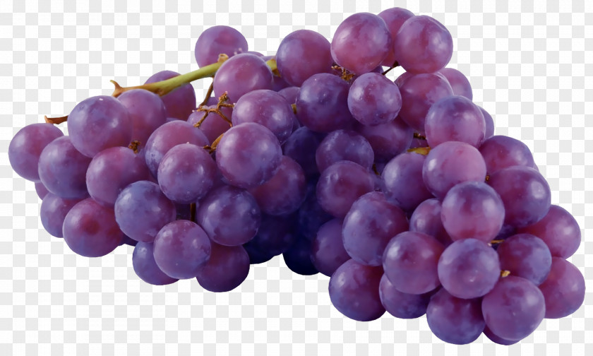 Grape Common Vine Fruit Orange PNG