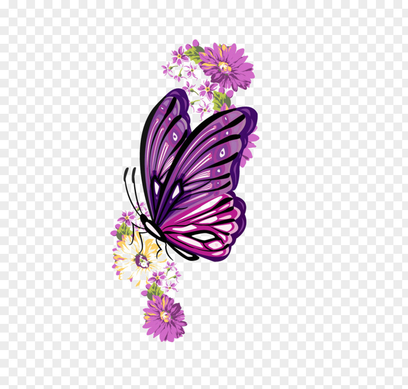 Hand Drawn Cartoon Butterfly Flying Insect Drawing PNG