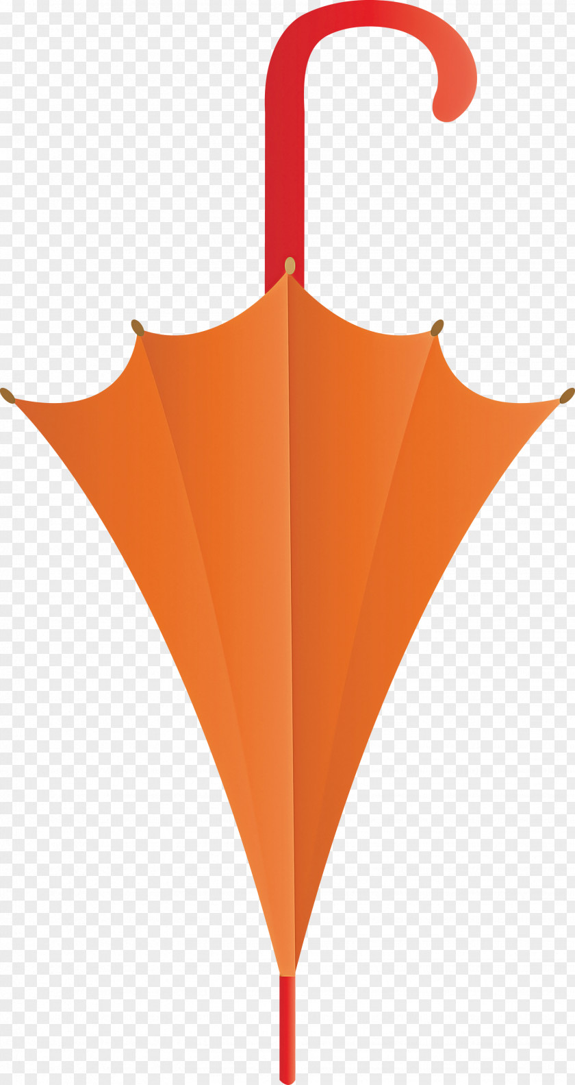 Orange PNG