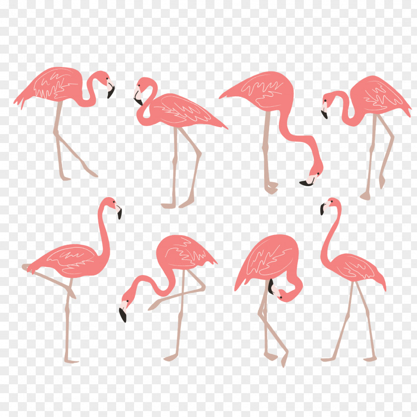 Vector Pink Flamingo Drawing Clip Art PNG