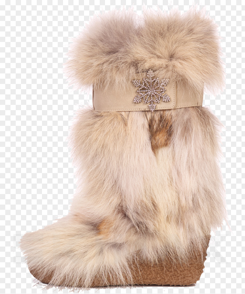 Boot Snow Coyote Diavolezza Shoe PNG