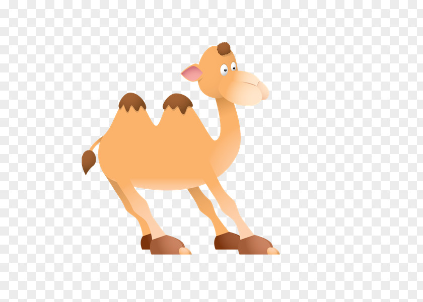 Camel Clipart Pre-school Worksheet Education Lesson Plan Reading PNG