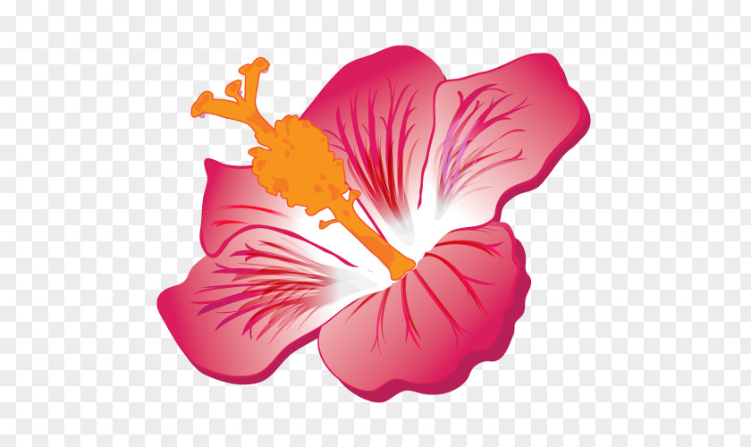 Cartoon Copywriter Rosemallows Yellow Hibiscus Clip Art Island Song Plants PNG