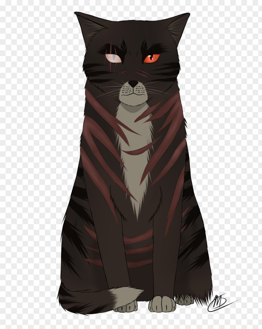 Cat Whiskers Illustration Outerwear Character PNG
