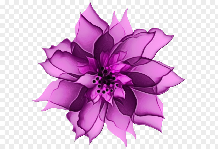 Dahlia Cut Flowers Purple Petal Graphics PNG