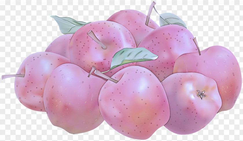 Flower Food Pink Fruit Plant PNG