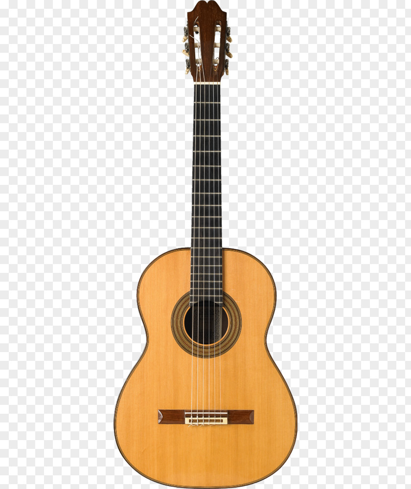 Guitar Acoustic Classical String Instruments Twelve-string PNG