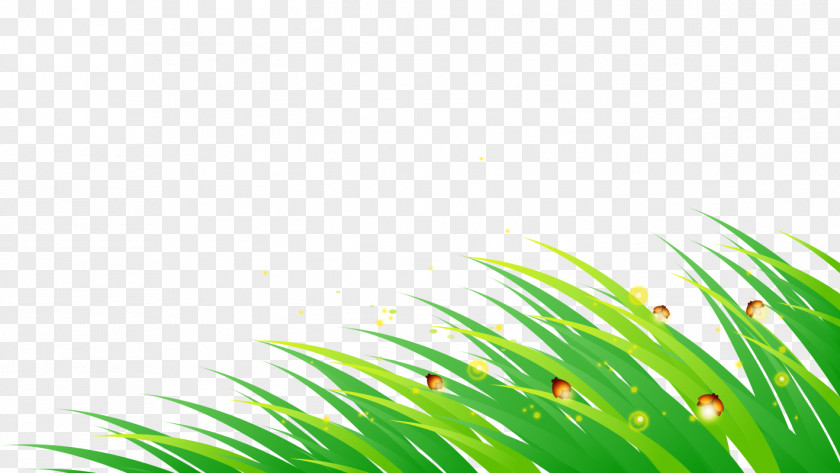Hand-painted Grass PNG