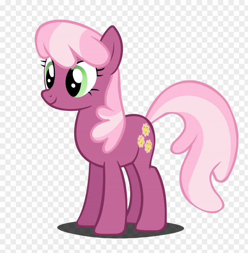 Lee Vector Cheerilee Pony Rarity Twilight Sparkle Rainbow Dash PNG