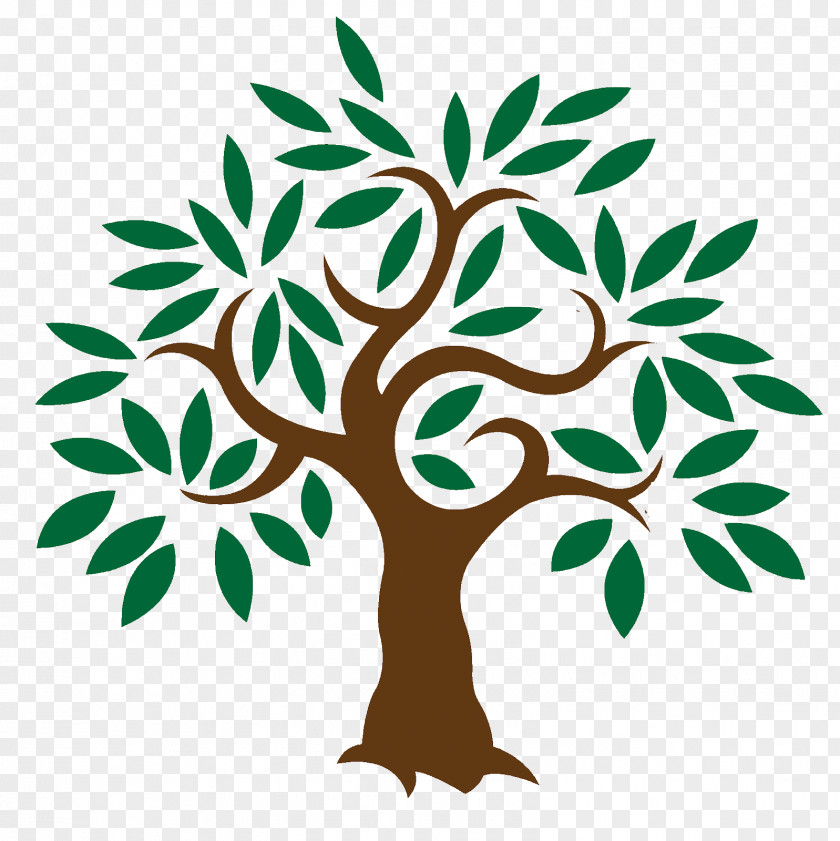 Meditation Olive Learn About Trees Clip Art PNG