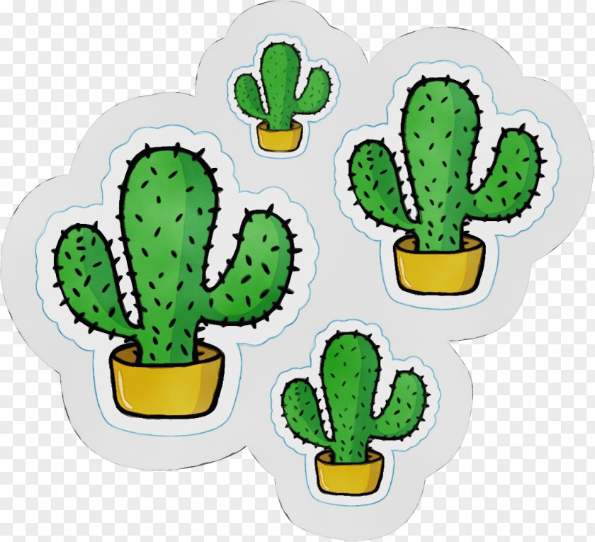 Saguaro Succulent Plant Cactus PNG
