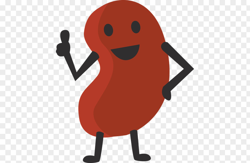 Sign Cartoon Bean PNG