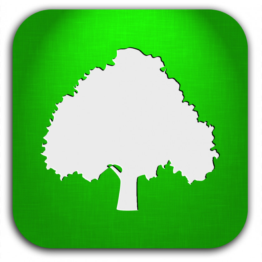 Tree Icon Plan Arborist PNG