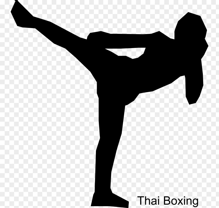 Boxing Muay Thai Kickboxing Martial Arts Clip Art PNG