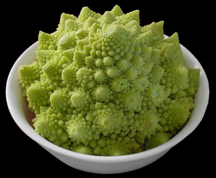 Cauliflower Fractal Patterns In Nature Mathematics Geometry PNG