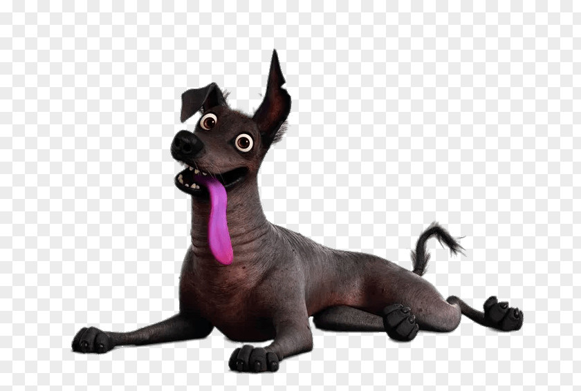 Coco Dante PNG Dante, gray dog character clipart PNG