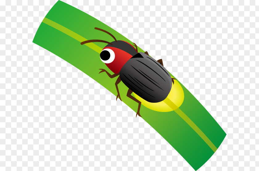 Insect Illustration Clip Art Firefly Product Design PNG
