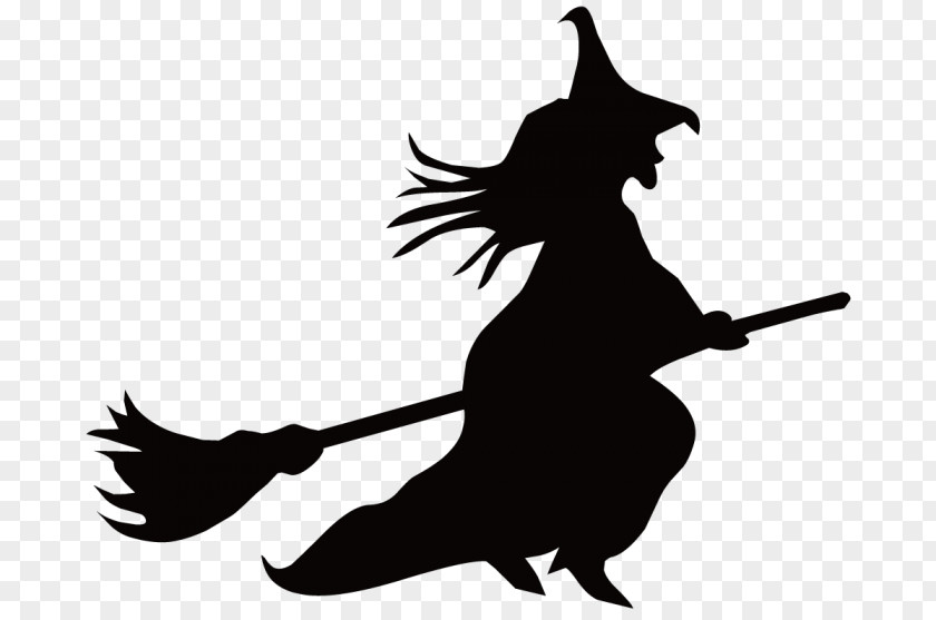 Livraison Witchcraft Broom Vector Graphics Image Witch Flying PNG