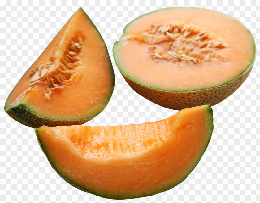 Melon Cantaloupe Persian Honeydew PNG