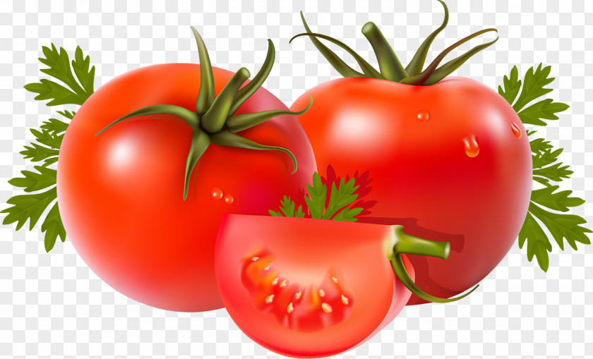 Tomato Vegetable Bell Pepper Food PNG