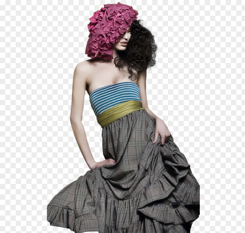 Woman Centerblog Gown PNG