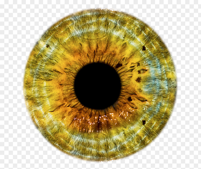 Gold Texture Human Eye Pupil Clip Art PNG