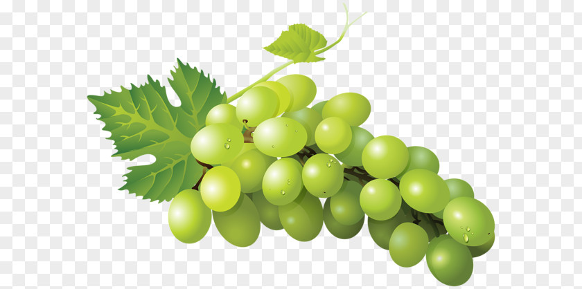 Grape Sultana Clip Art PNG