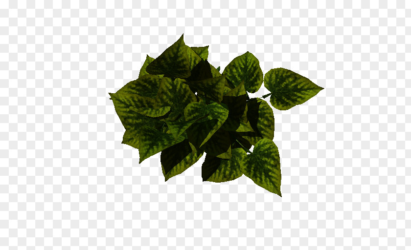Leaf Herb Flowerpot PNG