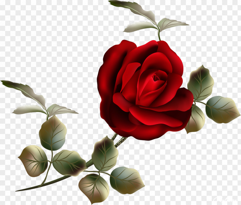 Beautiful Roses Garden Flower Clip Art PNG