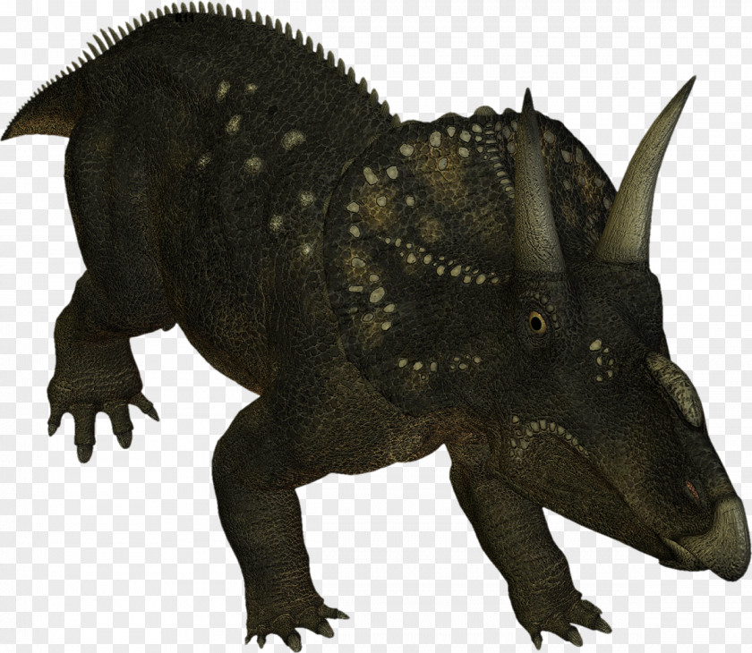 Dinosaur Tyrannosaurus Reptile Terrestrial Animal Fauna PNG