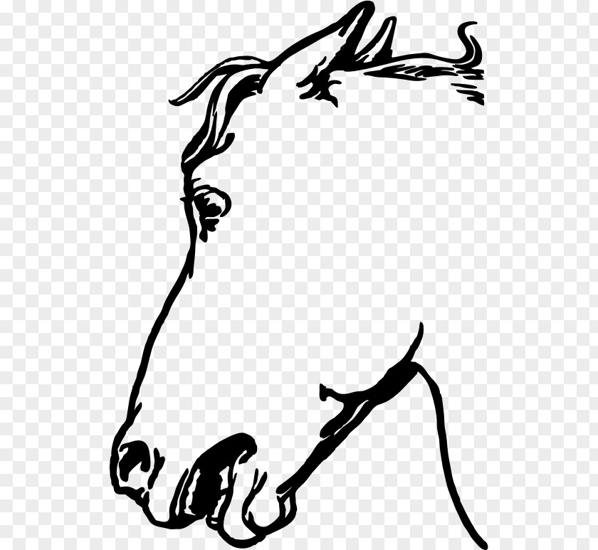 Donkey Face Mustang Arabian Horse Head Mask Stallion Clip Art PNG