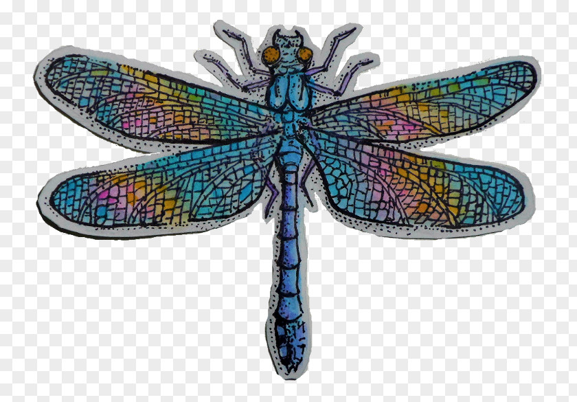 Dragonfly Artist Drawing Storenvy PNG