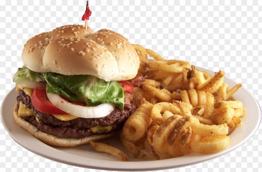 Western Menu Hamburger Veggie Burger Cheeseburger Fast Food French Fries PNG