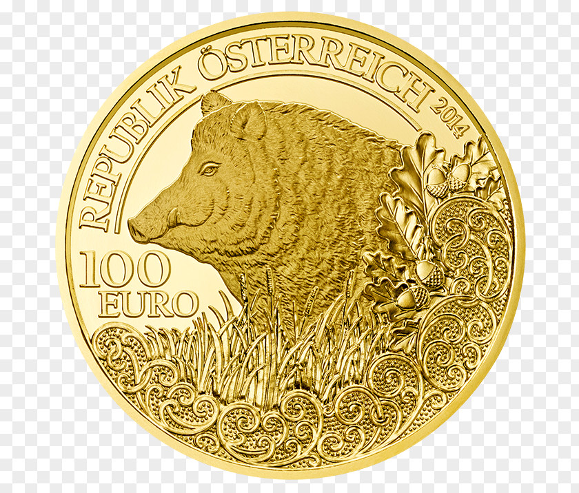 Coin Gold Wild Boar Perth Mint PNG