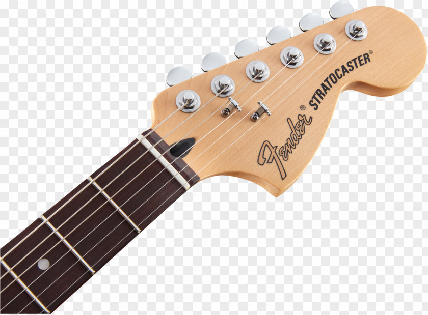 Musical Instruments Fender Stratocaster Contemporary Japan Standard Guitar PNG