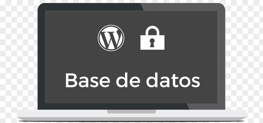 BASES DE DATOS Database WordPress Security Content Management System PNG