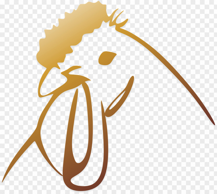 Cock Chicken Line Art Clip PNG