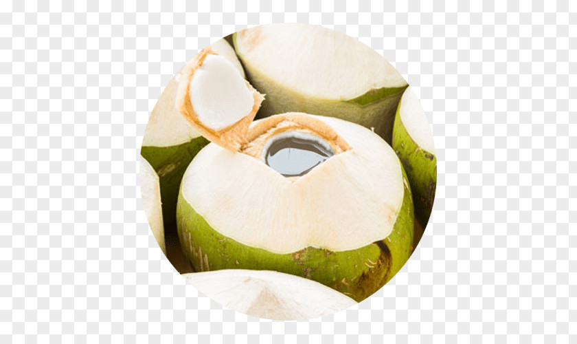 Coconut Water Drink Milk Juice PNG