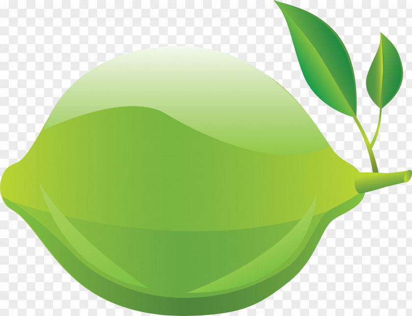 Fruit Logo Green Leaf PNG