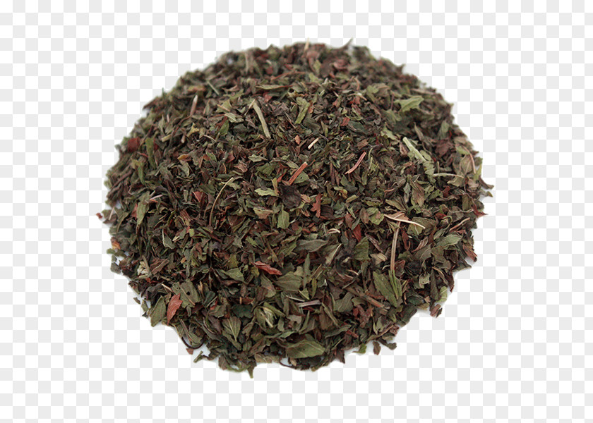 Green Tea Gunpowder Oolong Longjing PNG