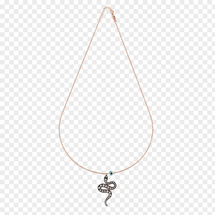 Necklace Jewellery Pendant Silver Chain PNG