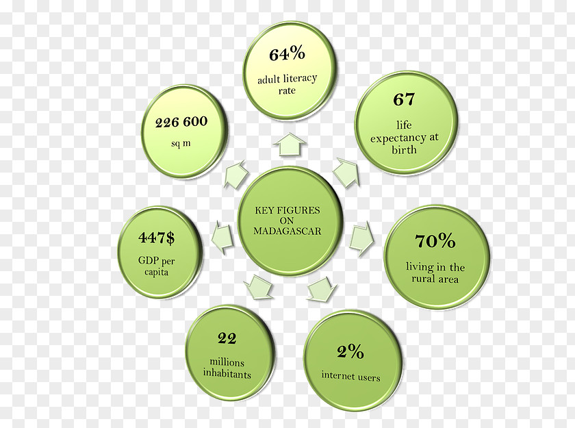 Business Human Resource Management System Information PNG