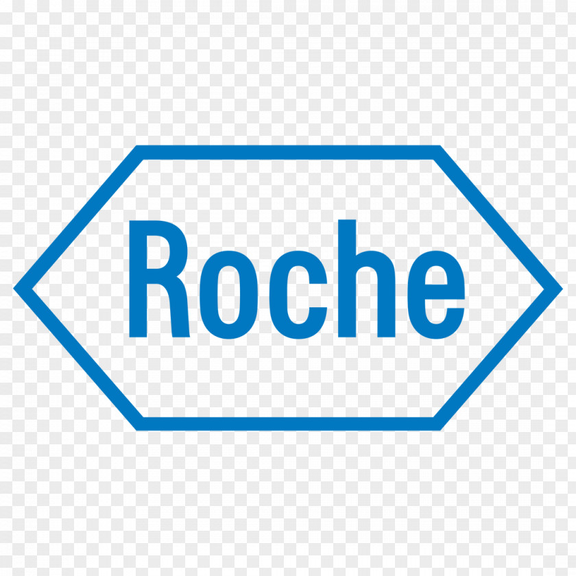 Business Roche Holding AG Diagnostics K.K. Pharmaceutical Industry IT Solutions GmbH PNG
