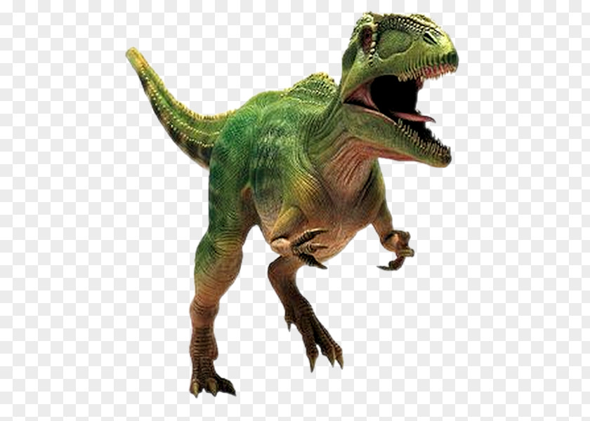 Dinosaur Giganotosaurus Mapusaurus Tyrannosaurus Carcharodontosaurus Spinosaurus PNG