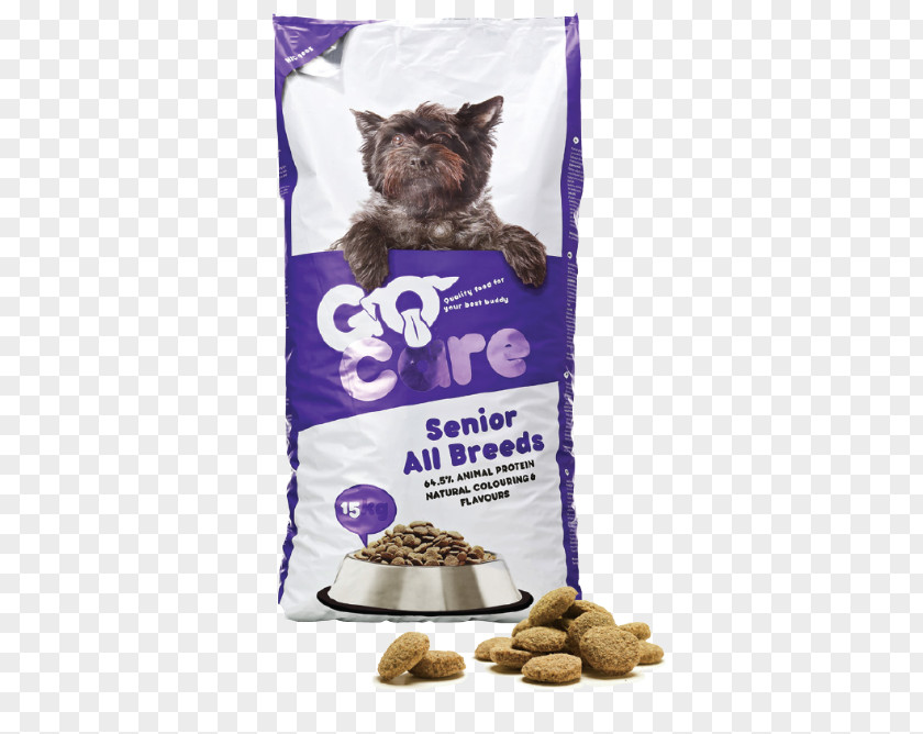 Elderly Care Puppy Dog Food Pet Breed PNG