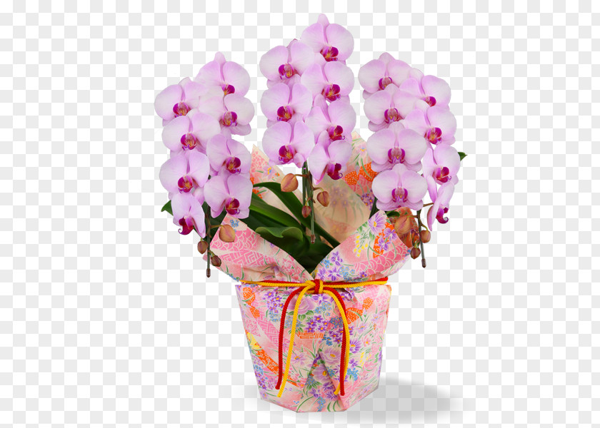 Flower Phalaenopsis Aphrodite Cut Flowers Floral Design Bouquet PNG