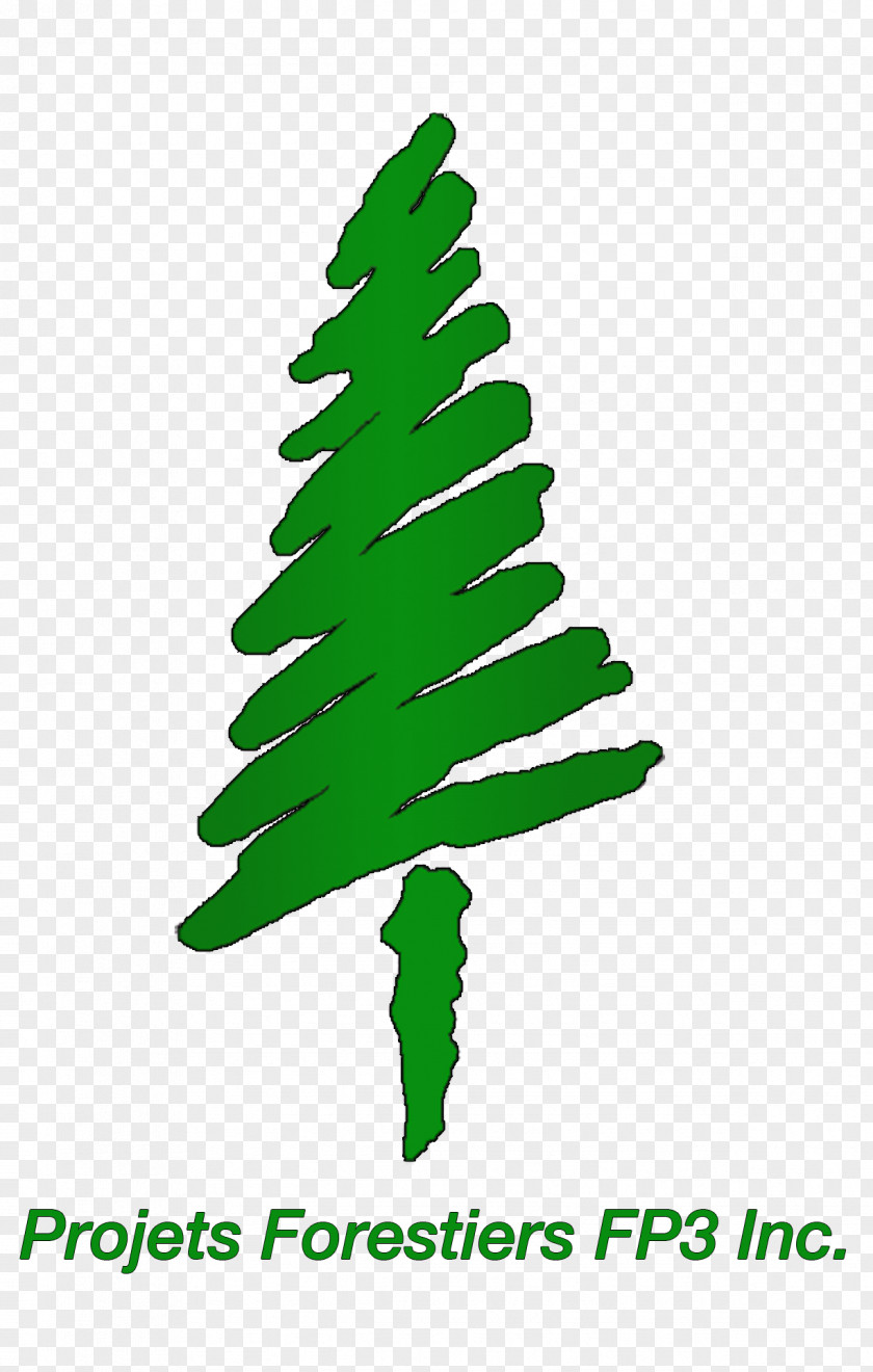 Forest Spruce Christmas Tree Clip Art Plant Stem PNG