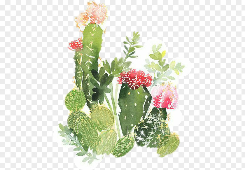 Painting Watercolour Flowers Watercolor Cactaceae Printmaking PNG