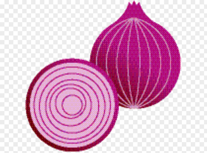 Plant Allium Onion Cartoon PNG